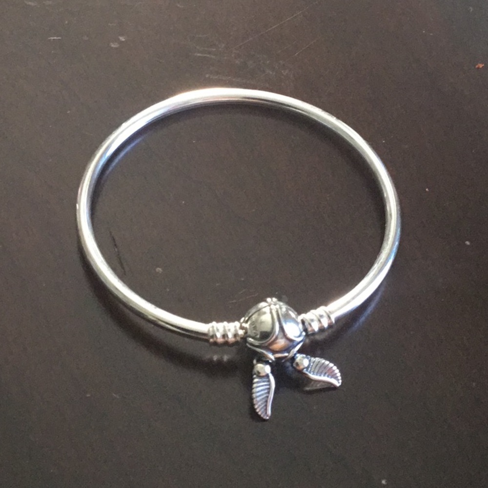 Pandora bracelet